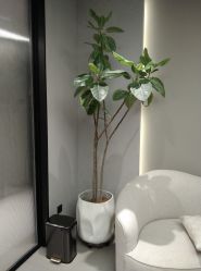 -颜蕾医美·黄金微针·水光·玻尿酸·超声炮·抗衰中心