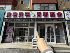 -青奢宠物·青奢猫舍