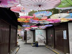 -天目湖山水园