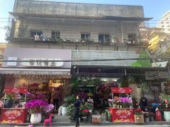 -溪岸路花鸟市场