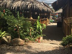 -Jungle Kitchen