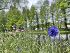 -上海共青森林公园