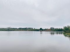 -东郊湿地公园
