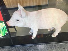 -猪角·闽南猪脚饭(文三路店)