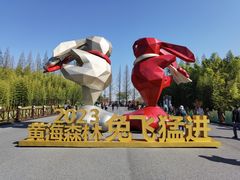 -黄海国家森林公园