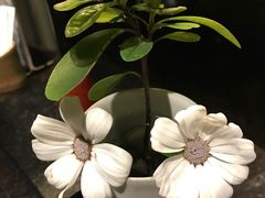 -花迹(富春江东街店)