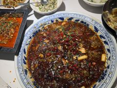 新概念来凤鱼-新概念来凤鱼(璧山店)