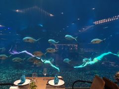-海棠湾洲际-涛·海底餐厅·美人鱼·自助餐·海底隧道