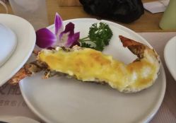-金芙美月子中心(财富别墅店)