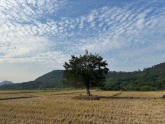 -风云岭森林公园