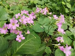 -大妙火锅·非物质文化遗产(东湖公园店)