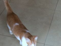 -串小白烧烤(金沙洲店)