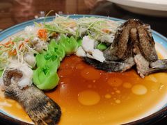 -小龙酒家(桂平路店)