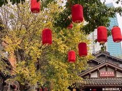 -重庆十八梯传统风貌区