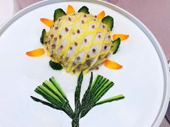 -丁老爷子苏香圆