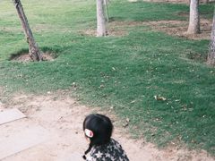 -济南国际园博园