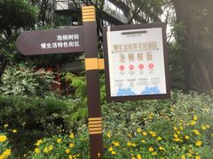 -泡桐树街
