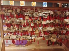 -大江户·温泉洗浴(浑南店)