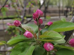 -元大都城垣遗址公园