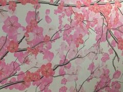 -樱花国际日语(徐家汇中心)