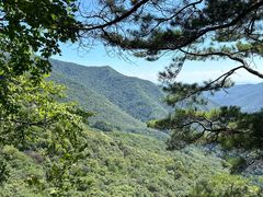 -五女峰国家森林公园