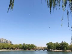 景点-陶然亭公园