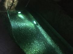 -海口观澜湖火山温泉谷