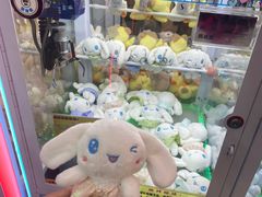 -PAWTOY爪e玩偶店(天兴罗斯福店)