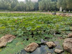 -长春世界雕塑园