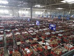 -昆明国际花卉拍卖交易中心