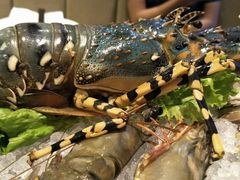 -火舞泰·泰式海鲜火锅餐厅(世纪城店)