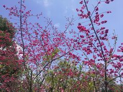 -乌山风景区