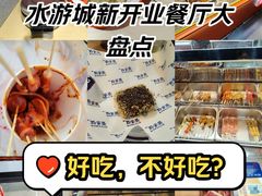 -鹏欣水游城