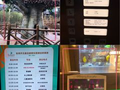 -杭州开元森泊度假乐园