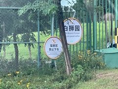-秦皇岛野生动物园