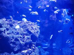 -波塞冬旅游度假区