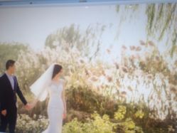 点击看大图 -太郎花子婚纱摄影艺术中心