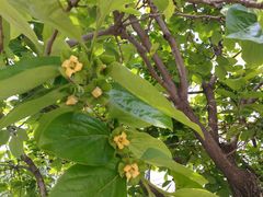 -济南国际园博园