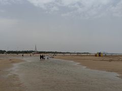 -日照海滨国家森林公园