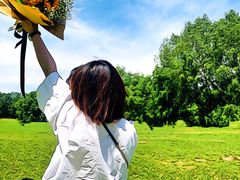 -长白岛森林公园