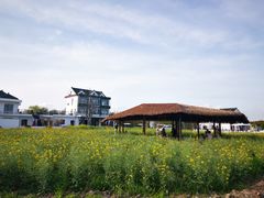 -MUSEO COFFEE咖啡博物馆