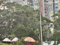 -九龙公园