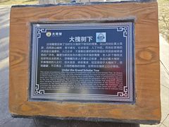 -大槐树寻根祭祖园