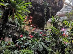-正佳雨林生态植物园