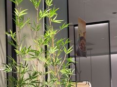 -绿茶餐厅(滨海万达广场店)