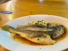 -舌尖上·霞浦滩涂海鲜·新闽菜(总店)