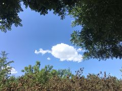-武圣羊汤·西北面(朝阳门店)