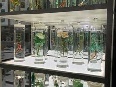 -北京中医药大学-中医药博物馆