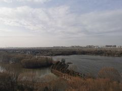 -西安浐灞国家湿地公园