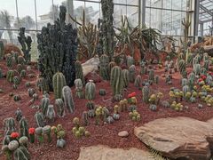-南通洲际绿博园